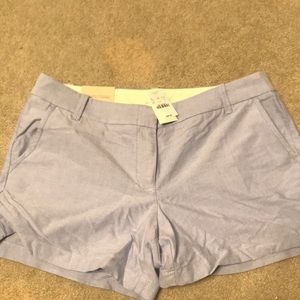 NWT J.Crew Powder Blue Oxford Shorts Size 12